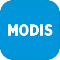 Логотип Modis